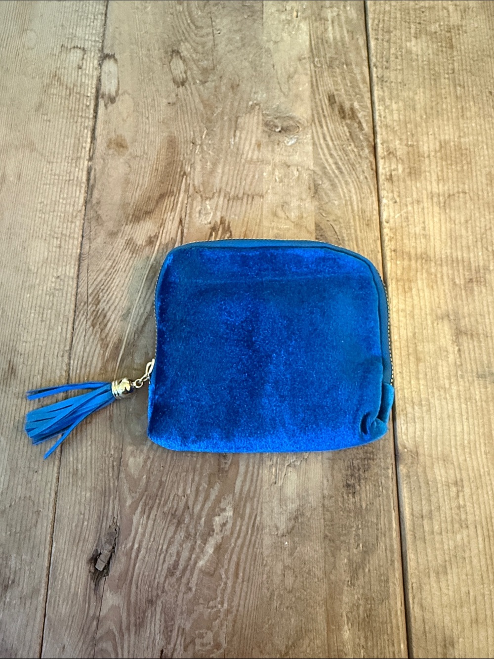 Royal Blue Velvet Tassel Cosmetic Pouch